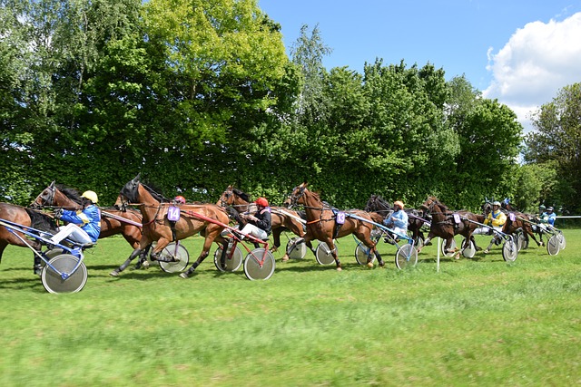 horse racing