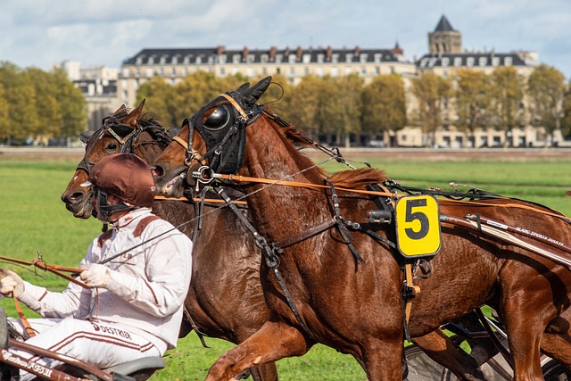 horse racing