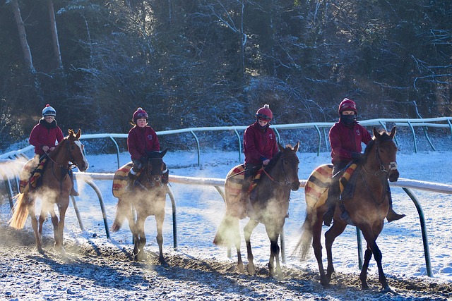 horse racing