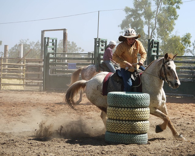 horse racing