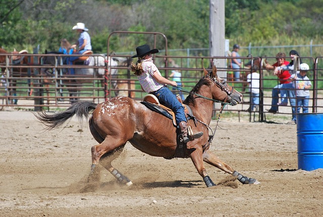 horse racing